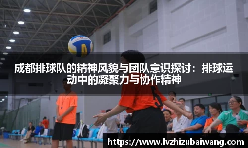 成都排球队的精神风貌与团队意识探讨：排球运动中的凝聚力与协作精神