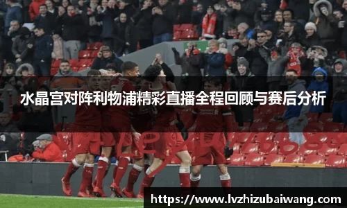 水晶宫对阵利物浦精彩直播全程回顾与赛后分析